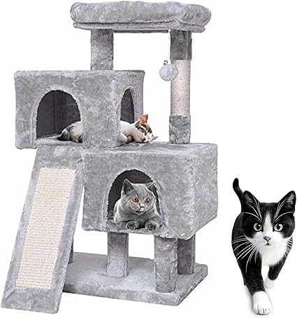 🐾 CA&T Ultimate Value Муурны Байшин ба Махирах Цамхаг