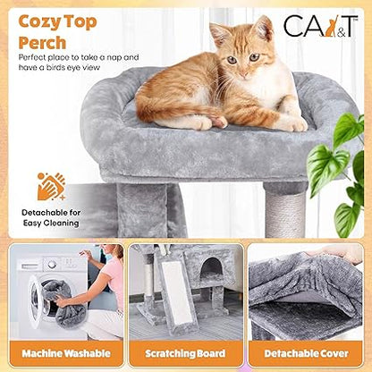 🐾 CA&T Ultimate Value Муурны Байшин ба Махирах Цамхаг