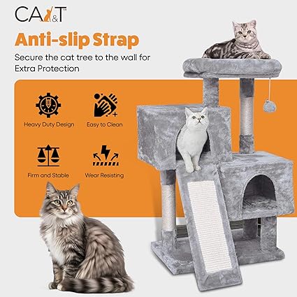 🐾 CA&T Ultimate Value Муурны Байшин ба Махирах Цамхаг