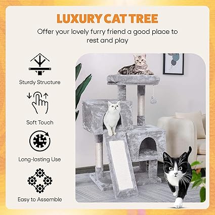 🐾 CA&T Ultimate Value Муурны Байшин ба Махирах Цамхаг