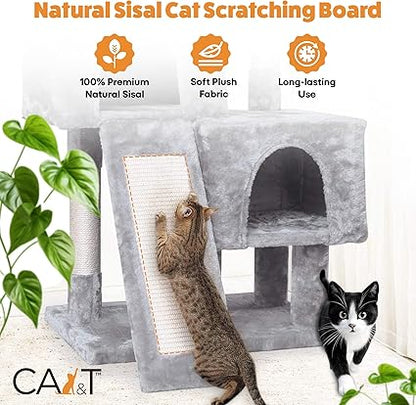 🐾 CA&T Ultimate Value Муурны Байшин ба Махирах Цамхаг