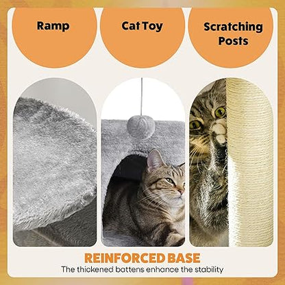 🐾 CA&T Ultimate Value Муурны Байшин ба Махирах Цамхаг