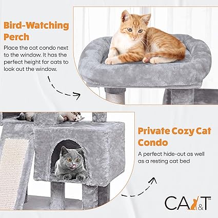 🐾 CA&T Ultimate Value Муурны Байшин ба Махирах Цамхаг